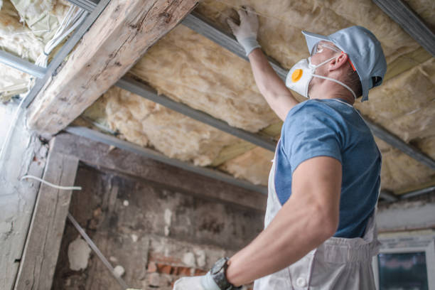 Best Specialty Insulation in Whitwell, TN
